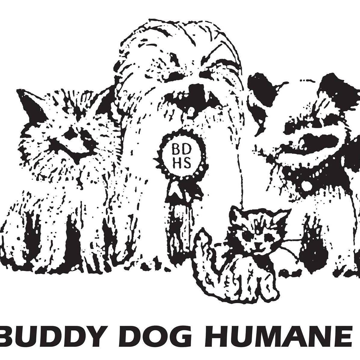 Rainbow Bridge: Loss of Pet